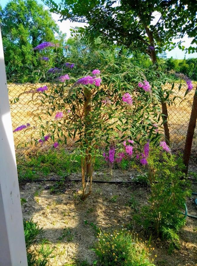 La Casa Di Tara B&B Armonia E Natura เรกานาติ ภายนอก รูปภาพ