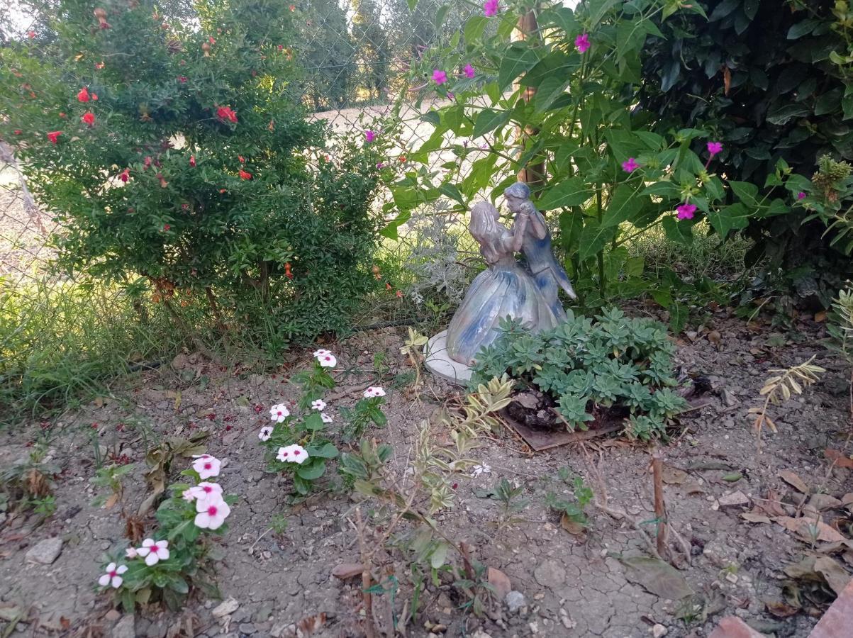 La Casa Di Tara B&B Armonia E Natura เรกานาติ ภายนอก รูปภาพ