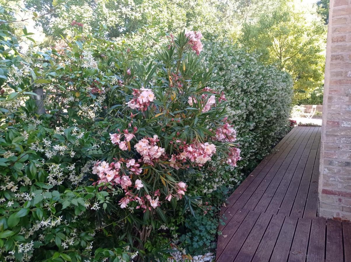 La Casa Di Tara B&B Armonia E Natura เรกานาติ ภายนอก รูปภาพ