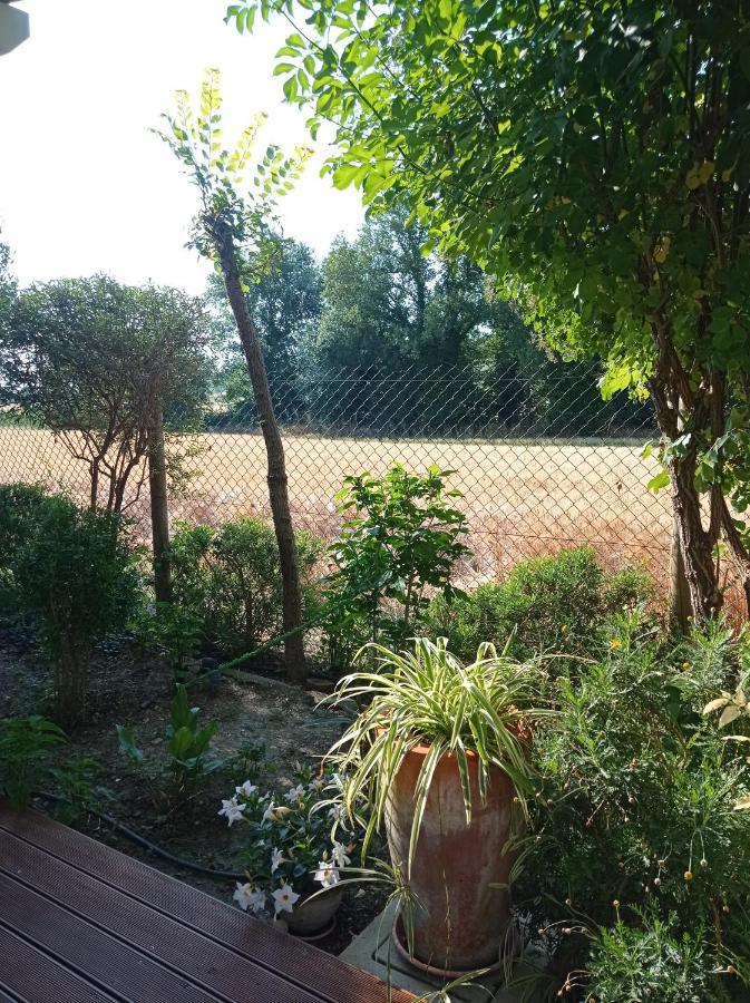 La Casa Di Tara B&B Armonia E Natura เรกานาติ ภายนอก รูปภาพ
