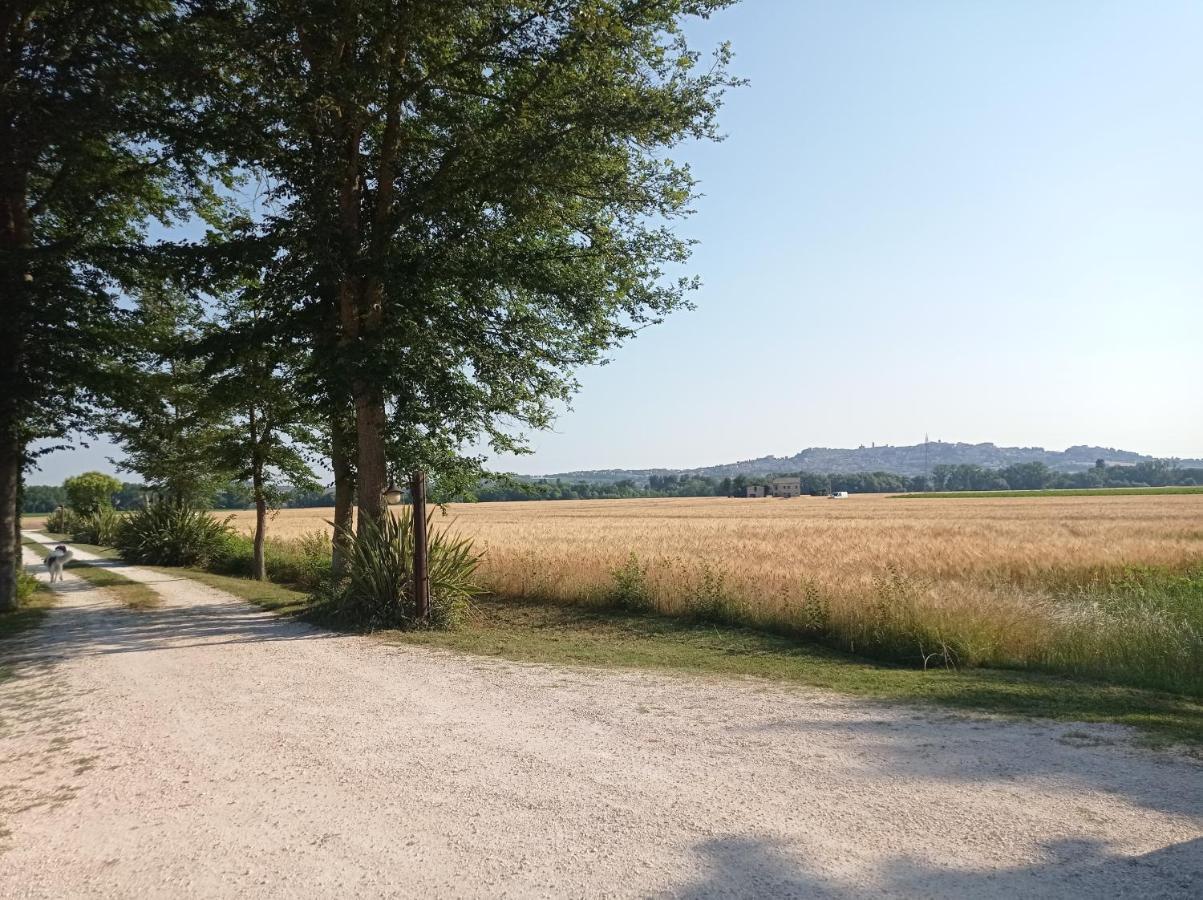 La Casa Di Tara B&B Armonia E Natura เรกานาติ ภายนอก รูปภาพ