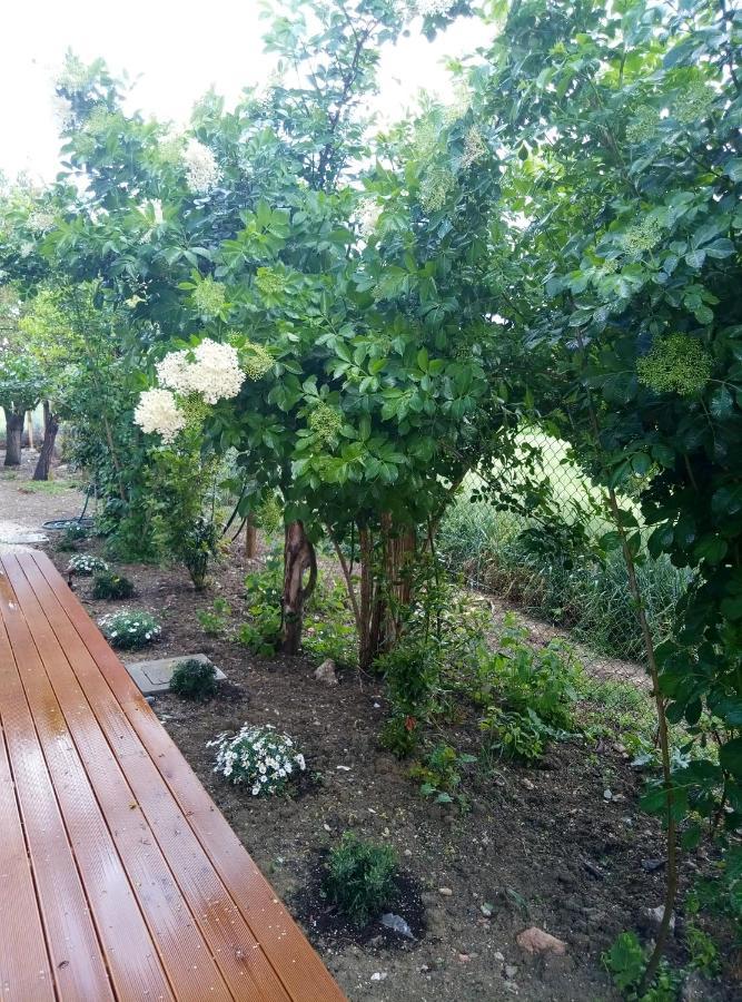 La Casa Di Tara B&B Armonia E Natura เรกานาติ ภายนอก รูปภาพ