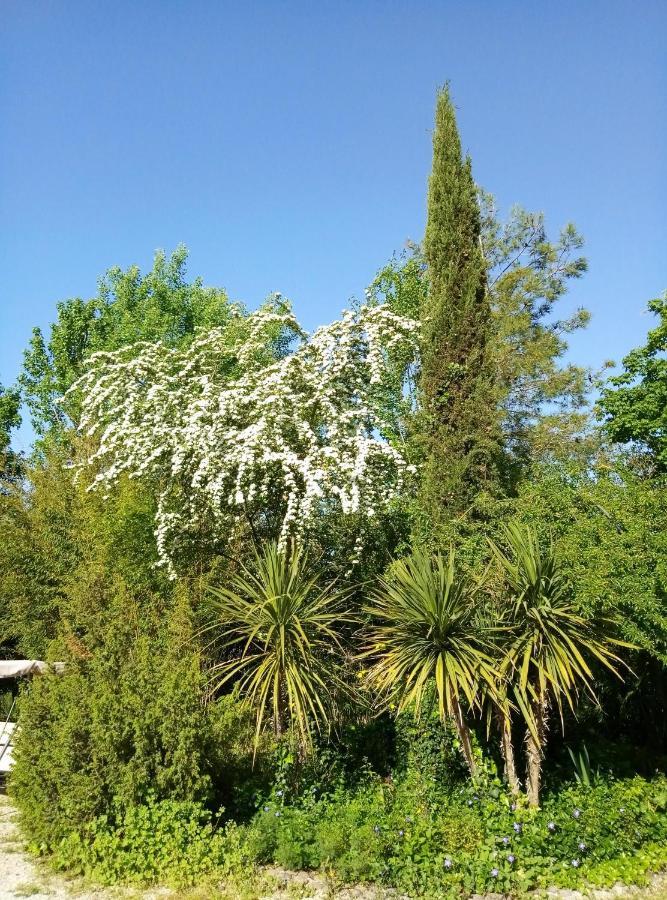La Casa Di Tara B&B Armonia E Natura เรกานาติ ภายนอก รูปภาพ