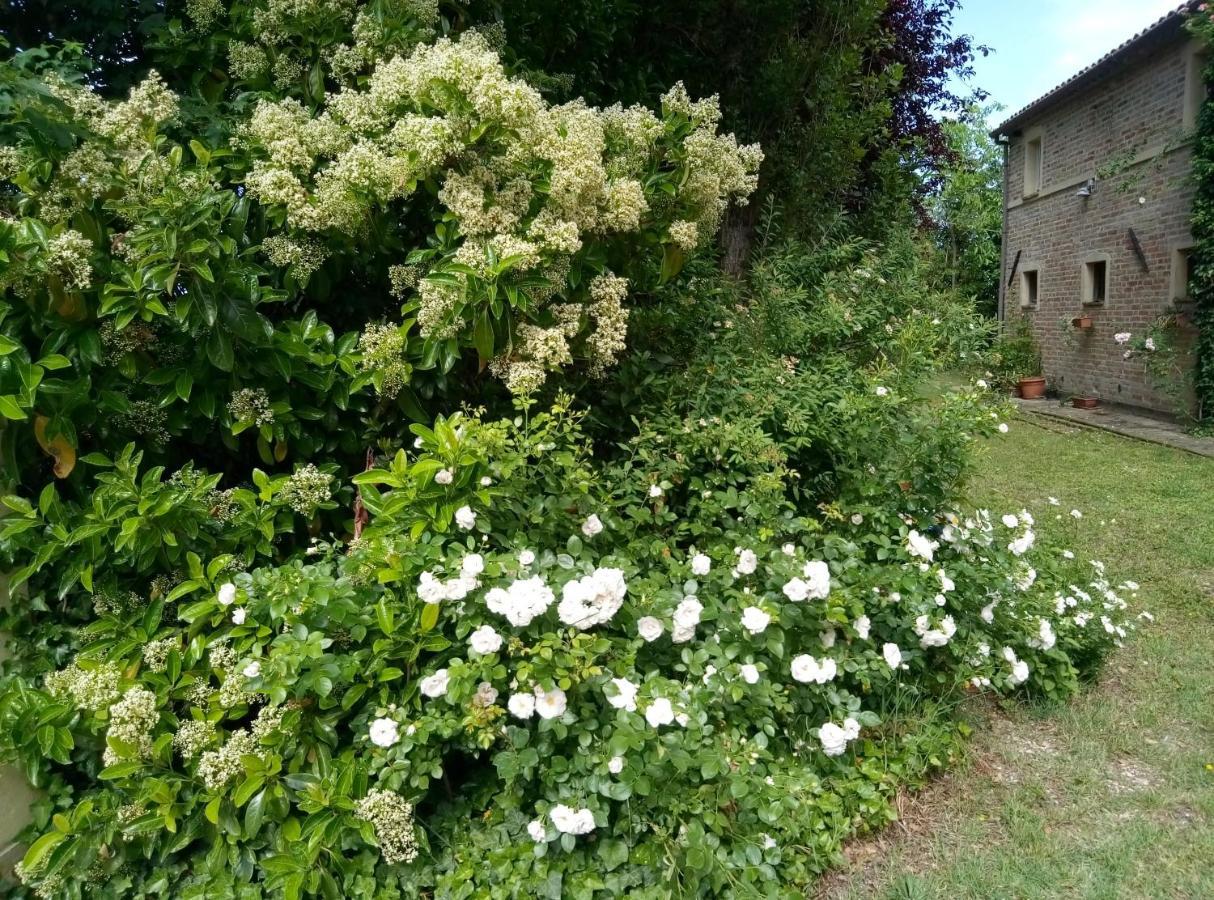 La Casa Di Tara B&B Armonia E Natura เรกานาติ ภายนอก รูปภาพ